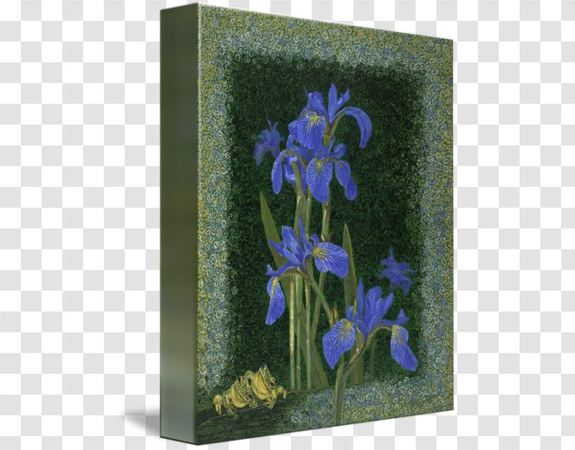 Irises Bellflower Family Gallery Wrap Art Printmaking - Flower - Frog Transparent PNG