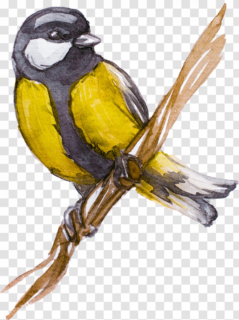 T-shirt Creative Watercolor Painting Bird Paper - Tshirt Transparent PNG