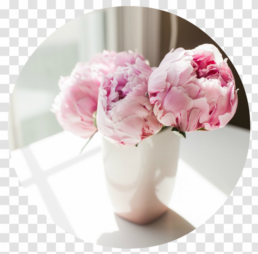 Desktop Wallpaper Peony High-definition Television - Environment Transparent PNG