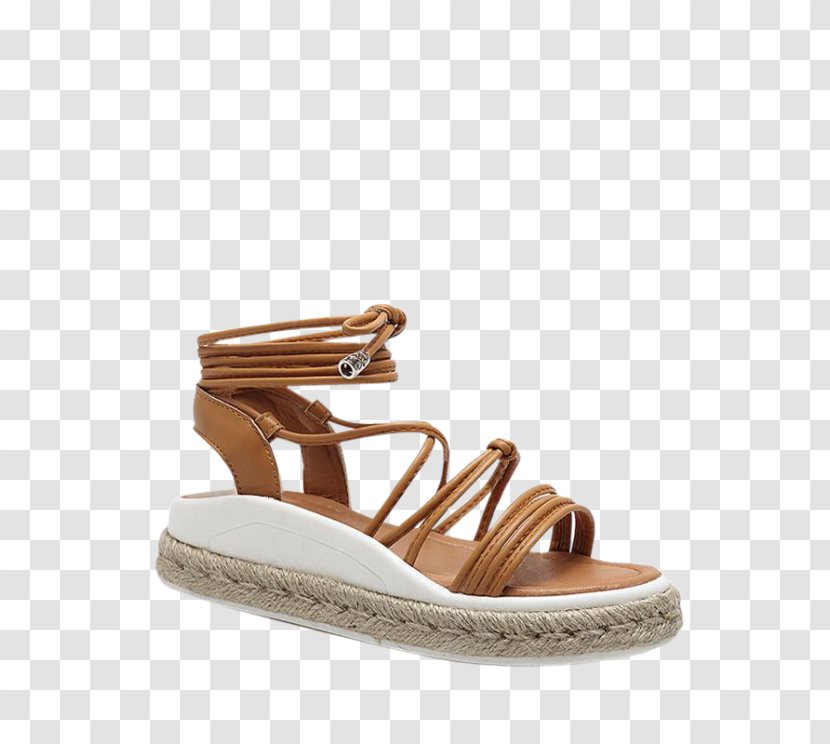 Espadrille Sandal Shoe Fashion Slide - Footwear Transparent PNG
