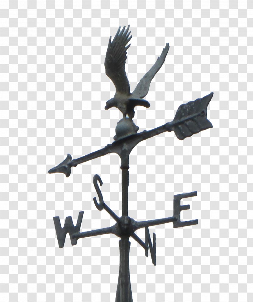 Bird Of Prey Symbol - Tree - Weather Vane Transparent PNG