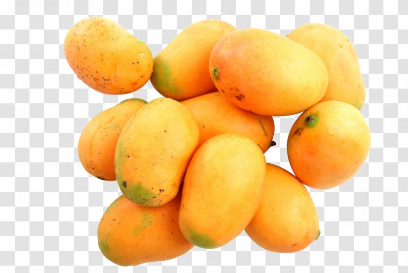 Mango Fruit Photography Auglis - Designer - A Pile Of Transparent PNG