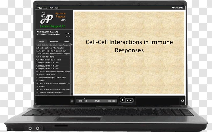 Immunology Antigen Lecture Immunity Cytokine - Netbook - Mycology Transparent PNG