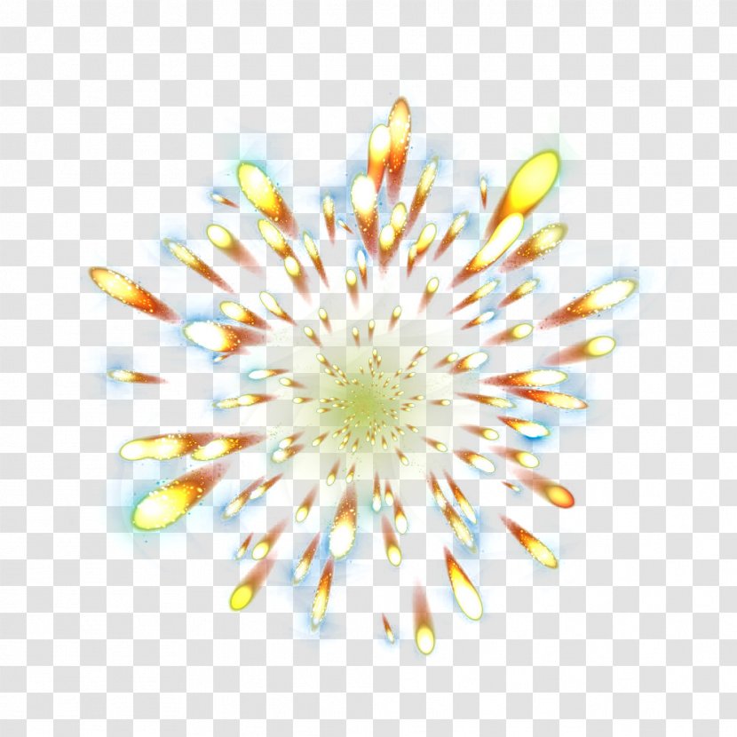 Fireworks - Floral Design - Effect Light Decorative Background Transparent PNG
