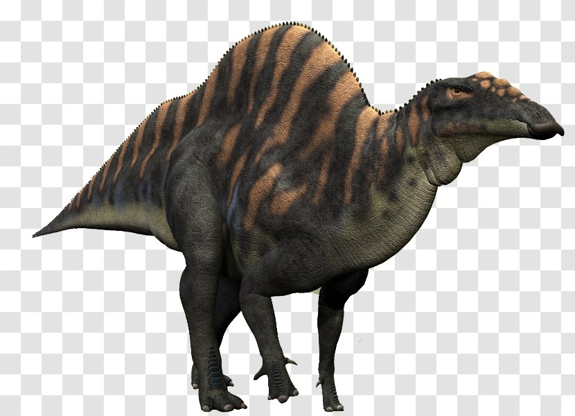 Ouranosaurus Camptosaurus Spinosaurus Iguanodon Late Cretaceous - Fauna - Dinosaur Transparent PNG