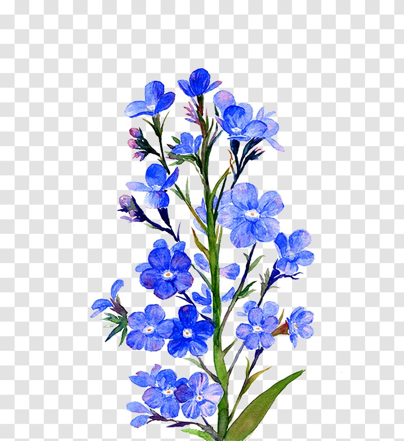 Yashiro Isana Image Graphics Download Flower - Cut Flowers Transparent PNG
