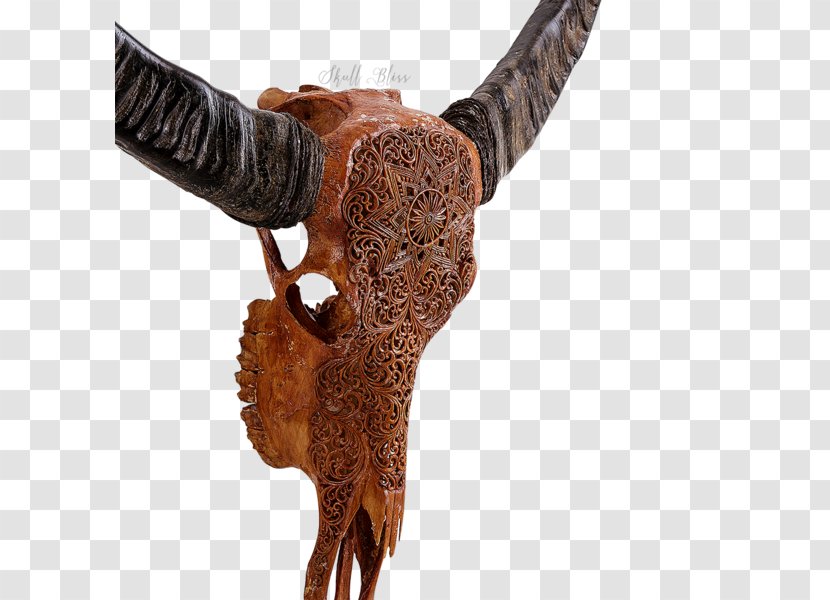 Horn Cattle SKULL MYSTIC Antique - Dragon - Buffalo Skull Transparent PNG