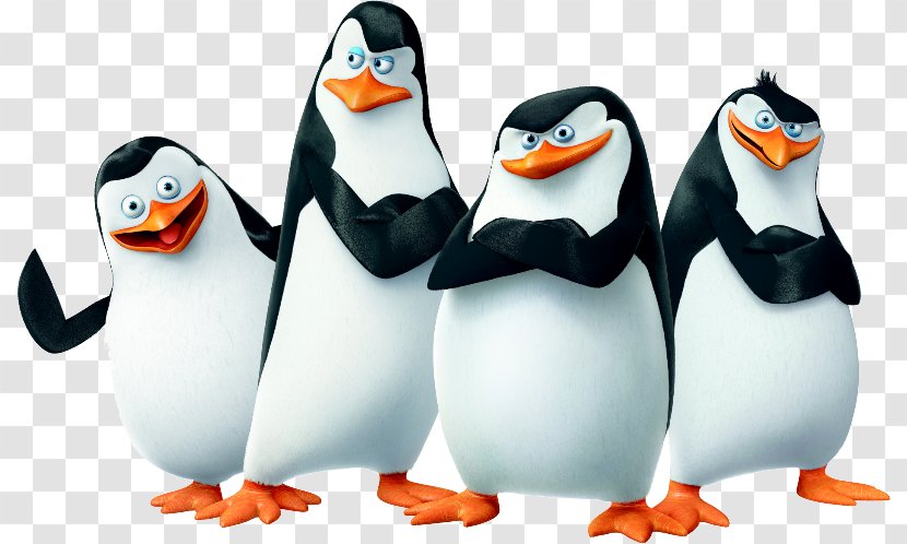 Kowalski Skipper YouTube Madagascar Film - King Penguin - Youtube Transparent PNG