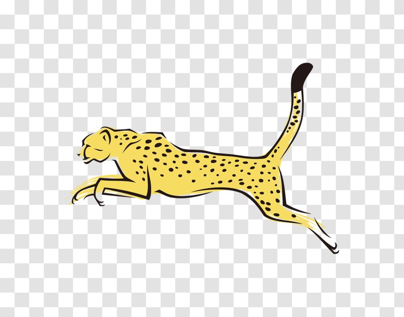 Cheetah Leopard Tiger Felidae Transparent PNG