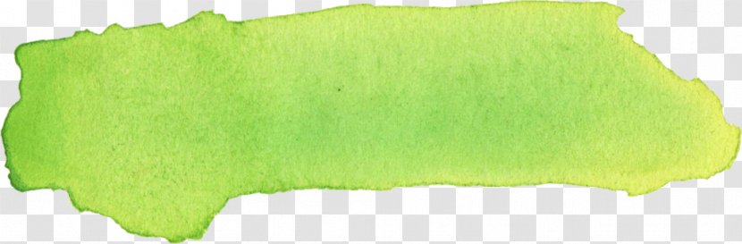 Paint Rollers Brush Color Transparent PNG