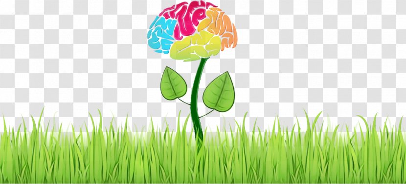 Neuropsychology Behavior Ageing Cognition - Health - Psychology Transparent PNG