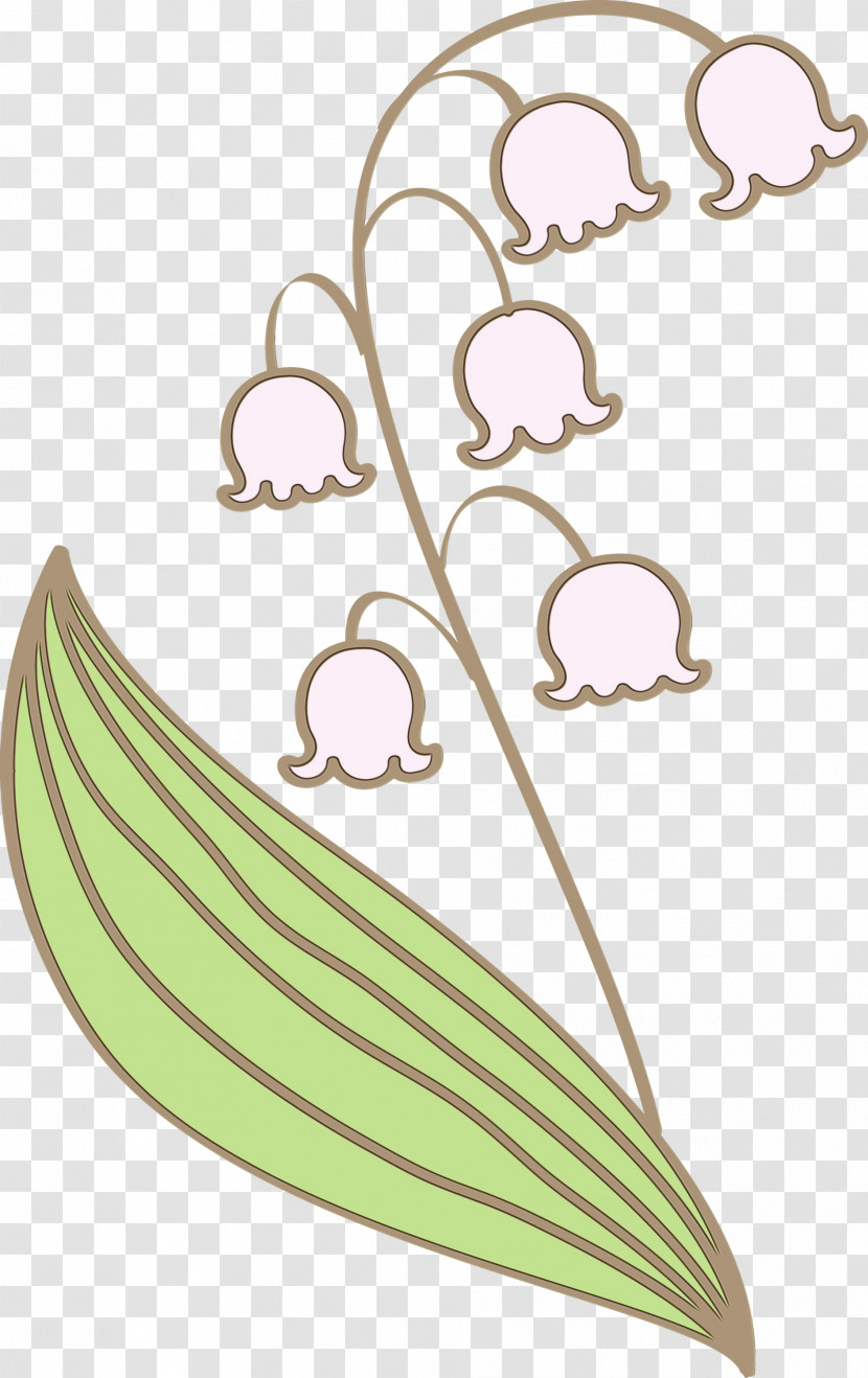 Leaf Plant Transparent PNG