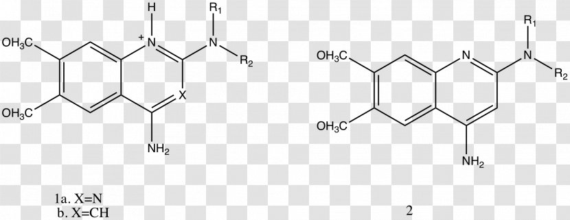 Chemistry Coordination Complex Chemical Synthesis Imine Science - Area Transparent PNG