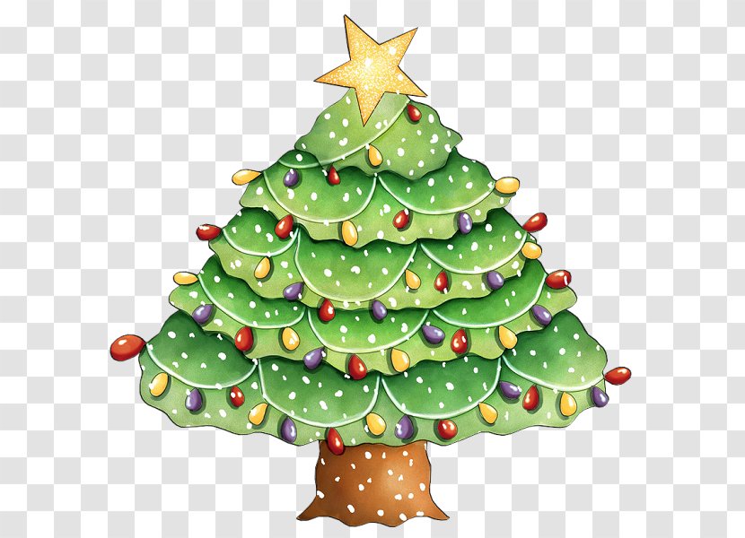 Christmas Tree Fir Spruce Pine Transparent PNG