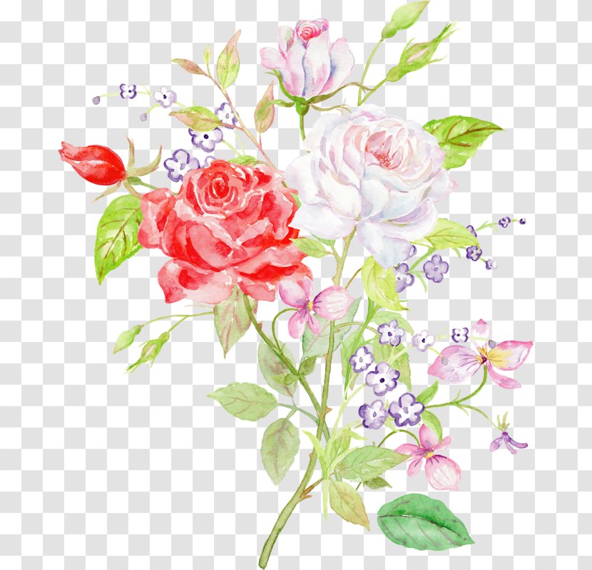 Garden Roses Floral Design Flower - Pink Family Transparent PNG