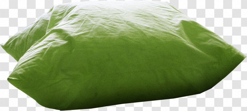 Dakimakura Green Pillow Cushion - Google Images Transparent PNG