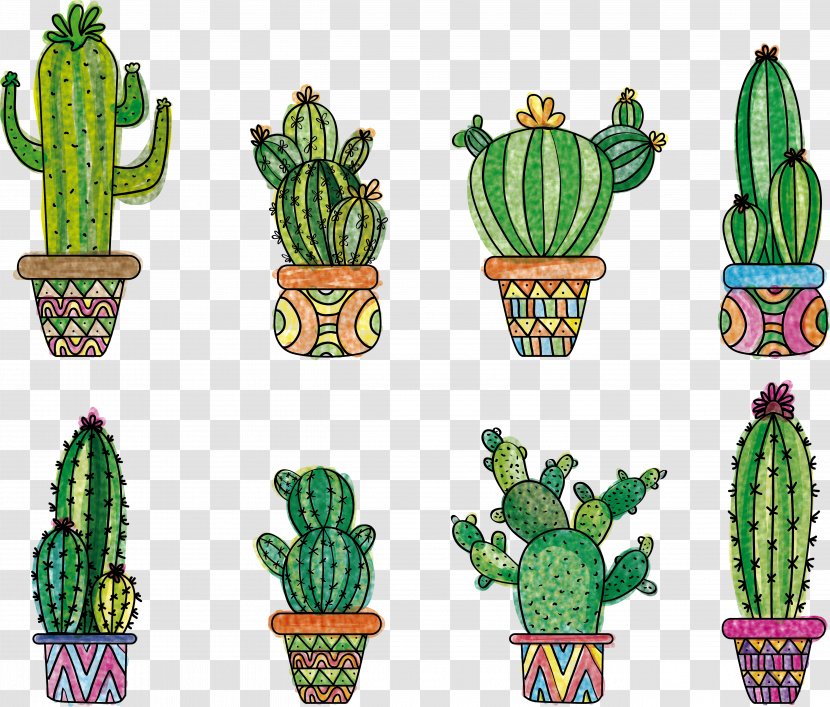 Cactus - Flower - Succulent Plant Terrestrial Transparent PNG