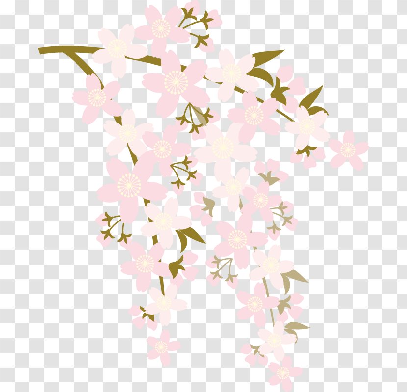 Floral Design Cherry Blossom Flower Etajima - Plant Transparent PNG