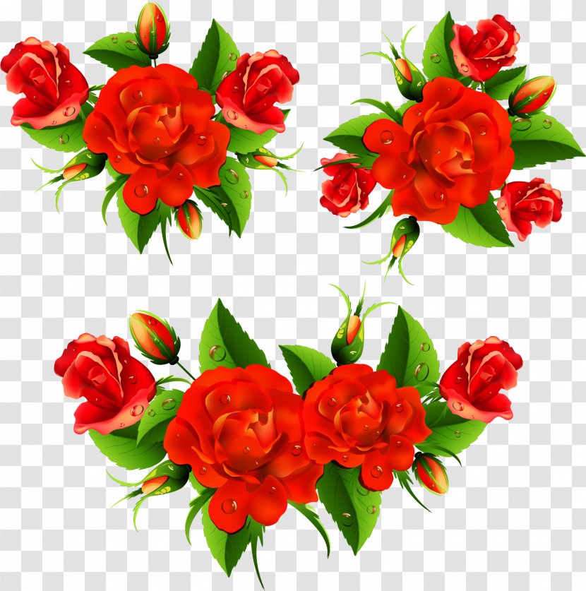 Wish Morning Blessing Greeting Prayer - Romantic Rose Vector Transparent PNG