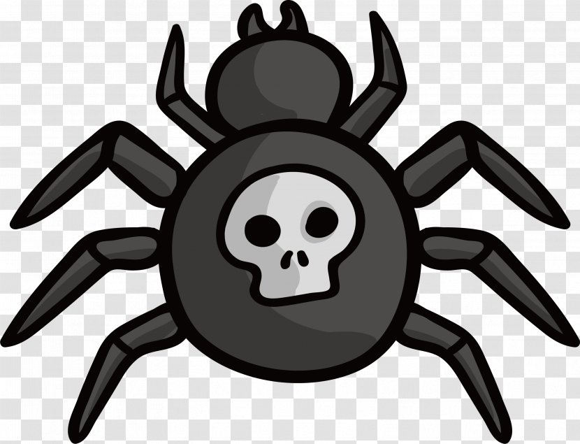 Spider Clip Art - Insect - Skeleton Transparent PNG