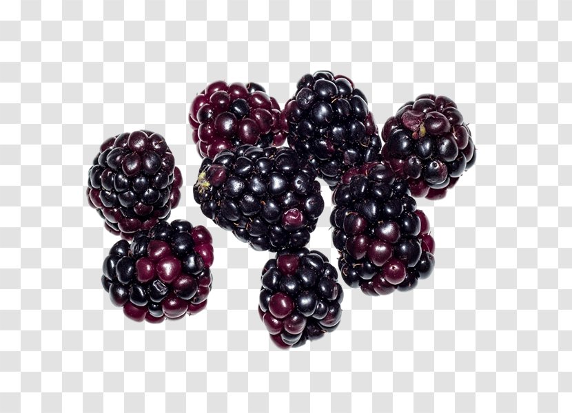 Boysenberry Loganberry Tayberry Blackberry Food - Superfood Transparent PNG