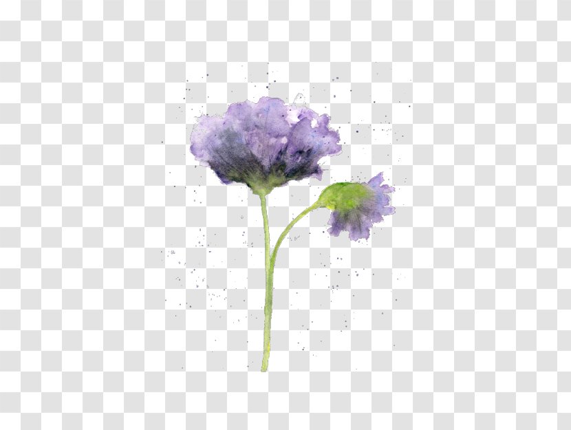 Watercolour Flowers Watercolor Painting Drawing - Art Museum - Sky Transparent PNG