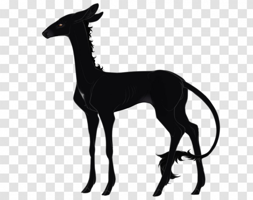 Italian Greyhound Mustang Giraffe Black Transparent PNG
