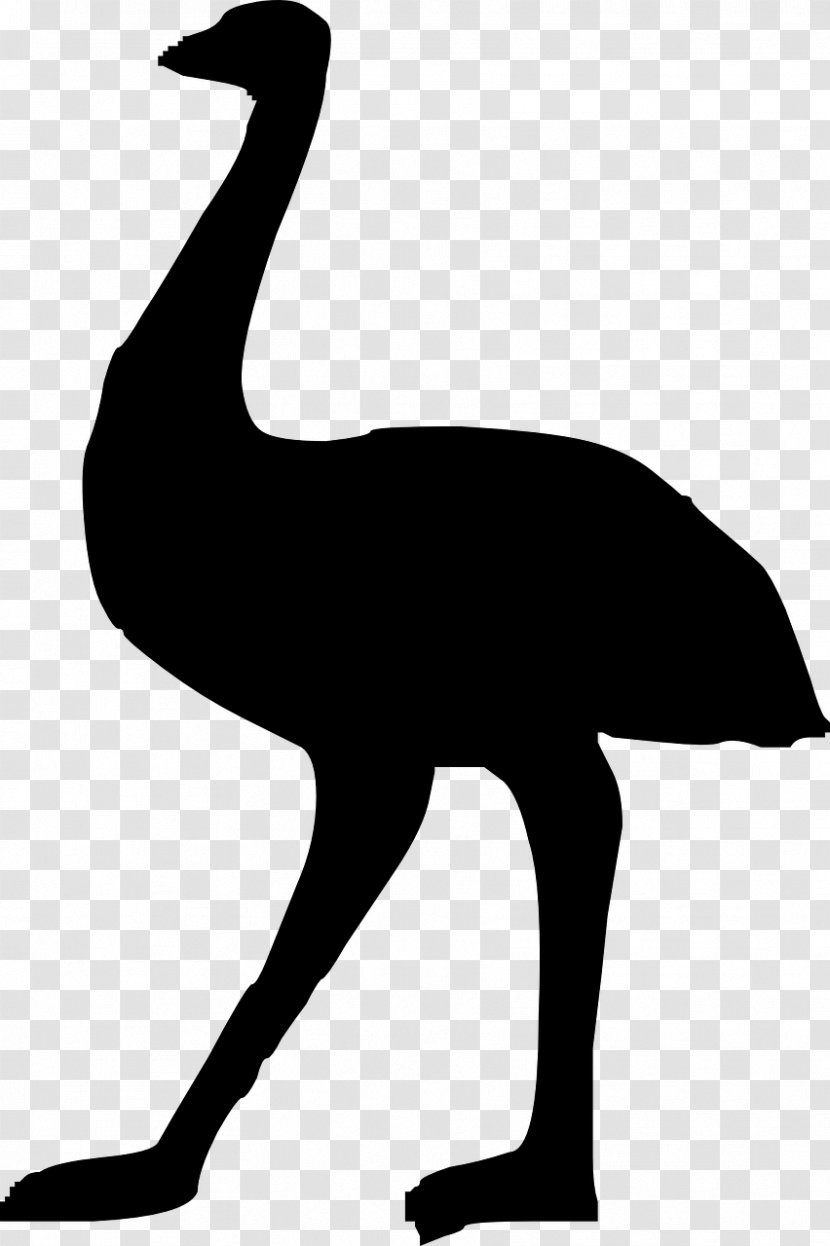 Australia Silhouette Common Ostrich Emu Clip Art - Cartoon Transparent PNG