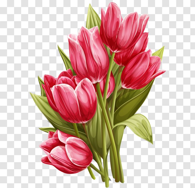 Tulip Flower Watercolor Painting Clip Art - Hand-painted Transparent PNG