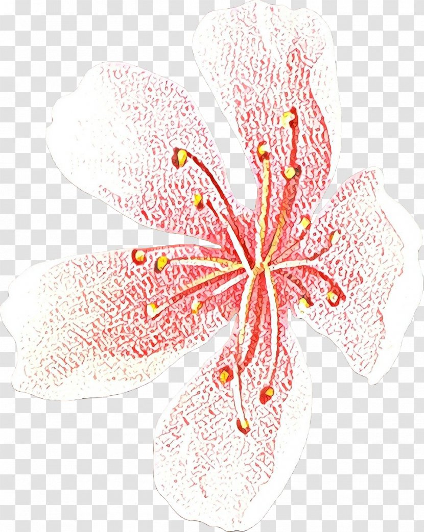 Flowers Background - Petal - Hibiscus Plant Transparent PNG