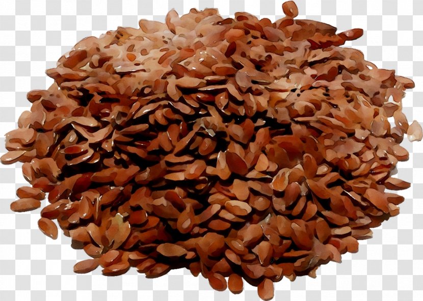 Flax Health Systemic Lupus Erythematosus Medicinal Plants Herb - Brown Rice Transparent PNG