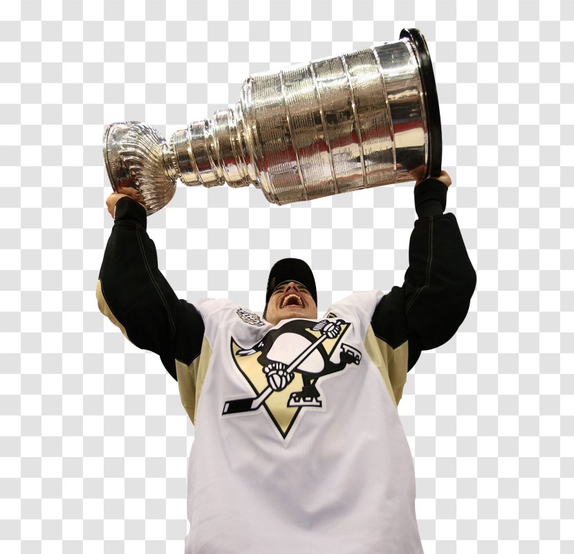 Pittsburgh Penguins Detroit Red Wings Stanley Cup Finals 2009 Playoffs National Hockey League Transparent PNG