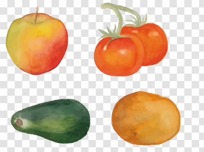 Tomato Vegetarian Cuisine Persimmon Food - Apple - Vector Vegetables And Fruits Transparent PNG