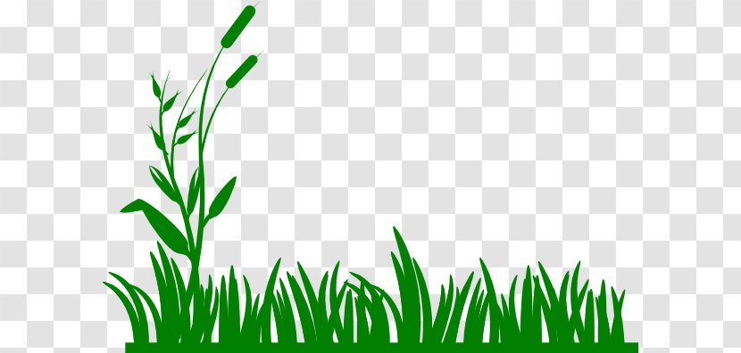 Lawn Clip Art - Grasses - Green Cliparts Transparent PNG