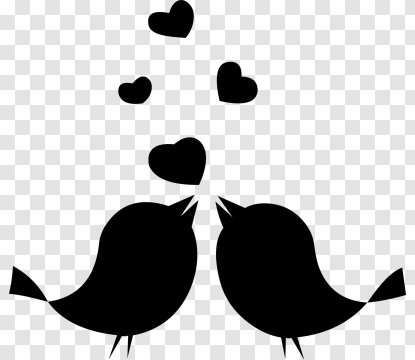 Clip Art Lovebird Parrot - Smile Transparent PNG