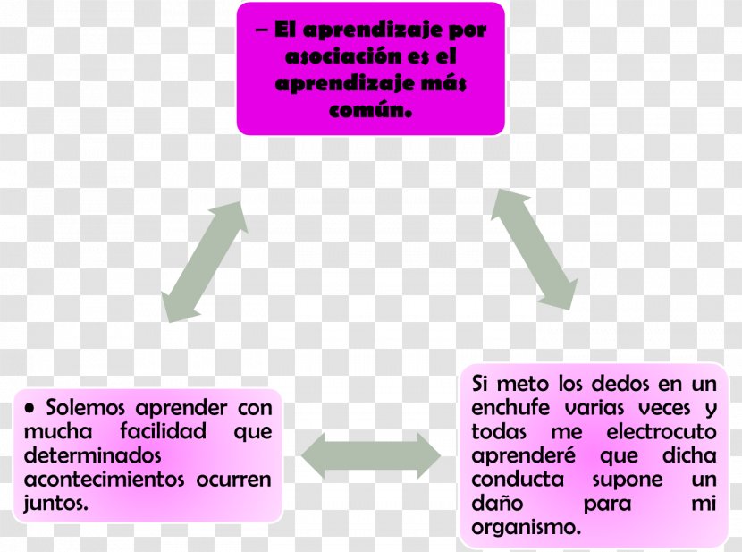 Learning Tipos De Aprendizaje Brand - Magenta Transparent PNG