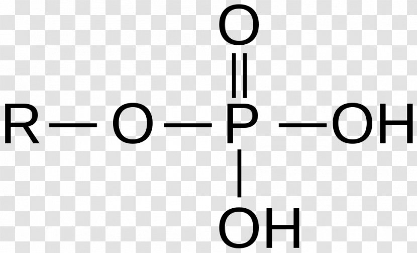 Organophosphate Functional Group Chemistry Molecule - Tree - Polyatomic Ion Transparent PNG