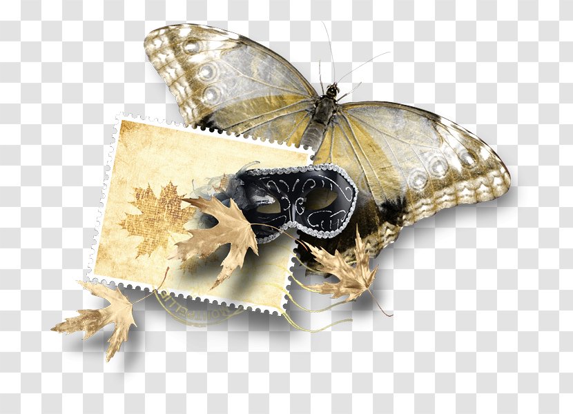 Silkworm Butterflies And Moths Clip Art - Butterfly Ads Transparent PNG