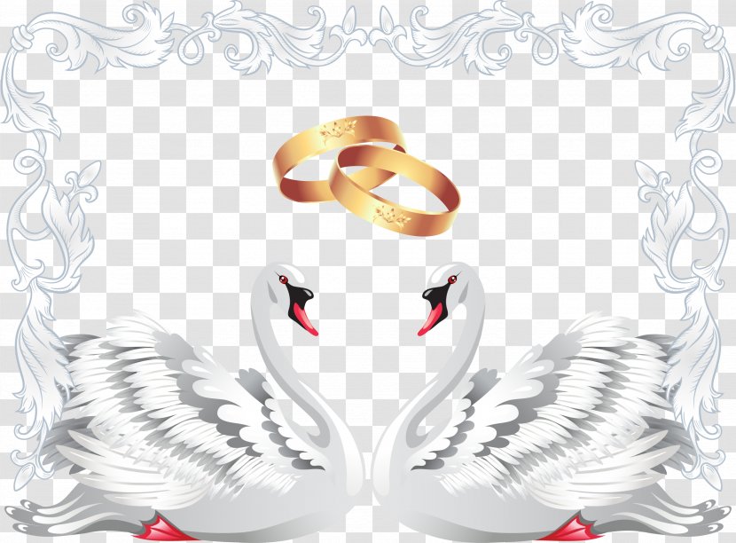 Wedding Invitation Black Swan Clip Art - Cartoon - Ring Elements Transparent PNG