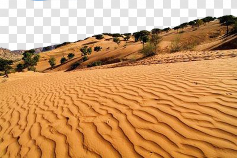 Erg Desert Sand Euclidean Vector - Soil - Photos Transparent PNG