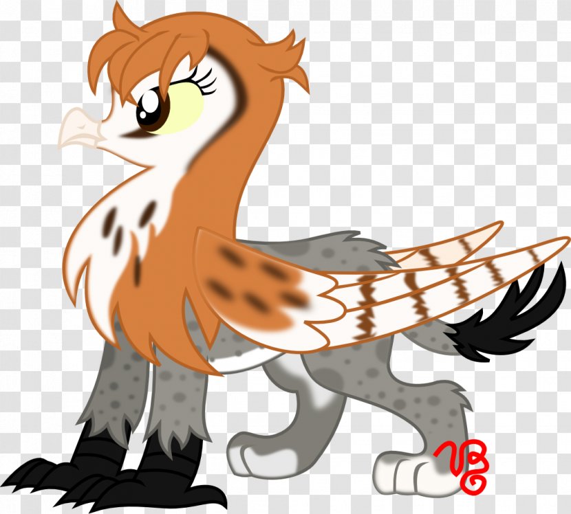 Owl Rainbow Dash Griffin Bird - Animal - Lynx Transparent PNG