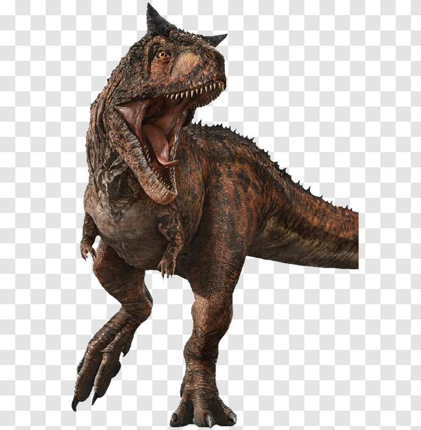 Carnotaurus Jurassic World Evolution Stygimoloch Baryonyx Park - Extinction - World: Fallen Kingdom Transparent PNG
