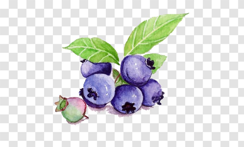 Illustration Fruit Juice Painting - Art - Bluberries Design Element Transparent PNG