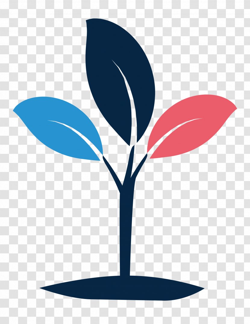Dutch Student Investment Fund Clip Art Seed - Flower Transparent PNG