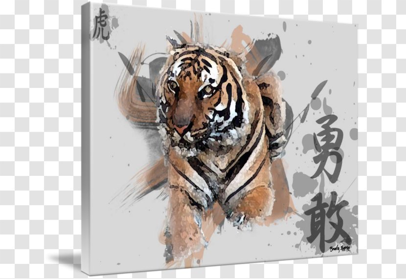 Tiger Imagekind Art Poster Canvas - Cat - Asian Transparent PNG