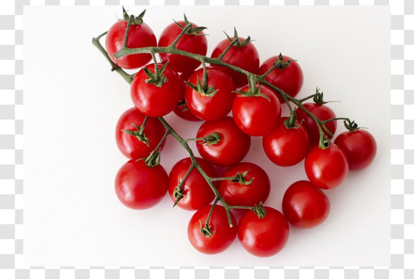 Bush Tomato Cherry Variety Barbados - Food Transparent PNG