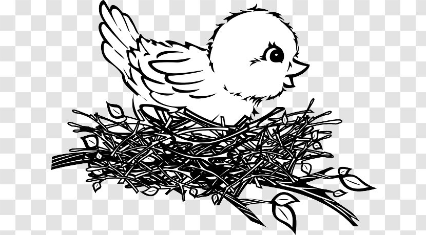 Bird Nest Drawing Clip Art - Monochrome Photography - Types Of Nests Transparent PNG