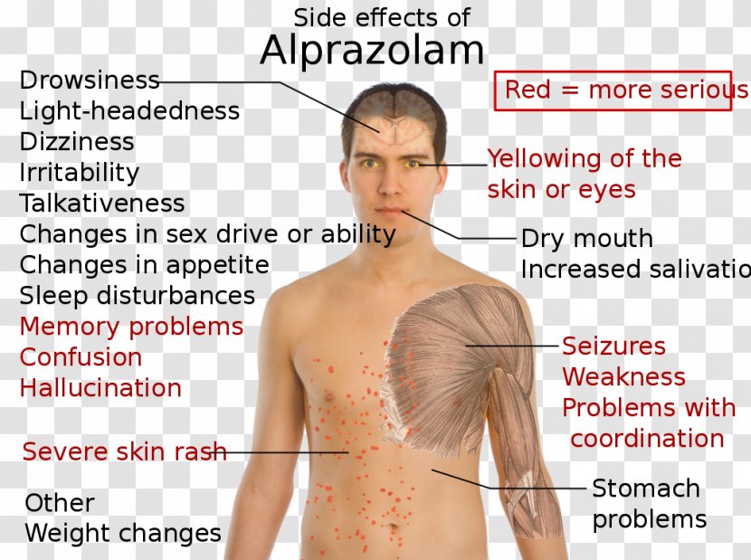 Alprazolam Adverse Effect Sleep Deprivation Pharmaceutical Drug Diazepam - Flower - Xanax Transparent PNG
