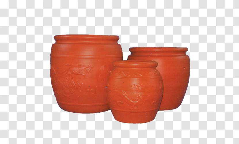 Plastic Pottery Vase Water - Blister - Hornbill Transparent PNG