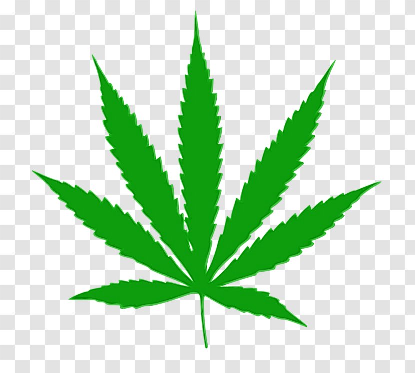 Cannabis Leaf Background - Hemp Family - Flower Herbal Transparent PNG